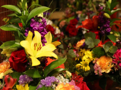 ¿Cuáles son las flores más típicas del mes de Mayo?